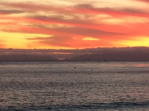 Catalina Island, Dec. 8, 2016